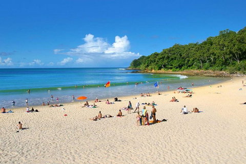 Noosa Everglades Serenity Cruise & Highlights Tour Inc. Lunch & Cruise - Kawana Tourism 4