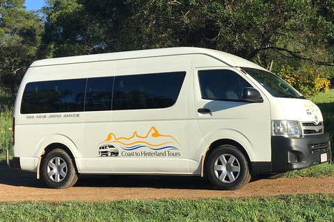 Noosa Everglades Serenity Cruise & Highlights Tour Inc. Lunch & Cruise - Kawana Tourism 5