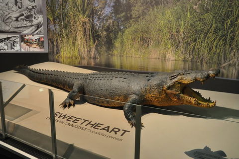 Explore Darwin City Sights Including Key Attractions - Kawana Tourism 2