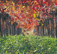 Margaret River Private Tour - Kawana Tourism