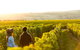 Margaret River Private Tour - thumb 2