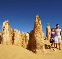 Pinnacles Day Trip from Perth Including Yanchep National Park - Kawana Tourism