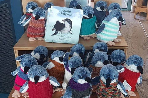 Phillip Island Penguin And Wildlife Tour - Kawana Tourism 1