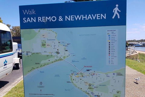 Phillip Island Penguin And Wildlife Tour - Kawana Tourism 2