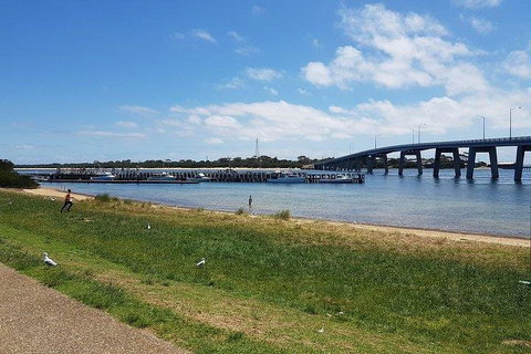 Phillip Island Penguin And Wildlife Tour - Kawana Tourism 4