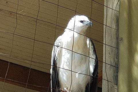 Phillip Island Penguin And Wildlife Tour - Kawana Tourism 5