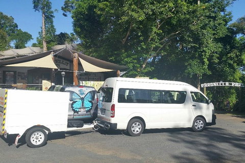 Airport Transfer To Or From Cairns Hotels For Up To 13 People - Kawana Tourism 4