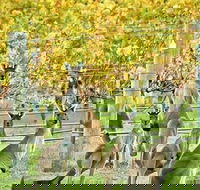 Margaret River Indulge and Discover Day Tour - Kawana Tourism