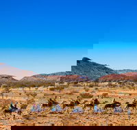 Alice Springs Camel Tour - Kawana Tourism