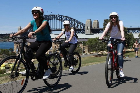 The Sydney Express - Kawana Tourism 3