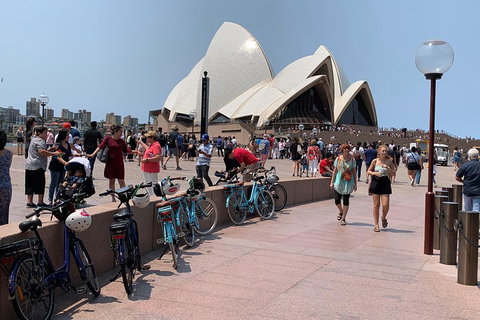 The Sydney Express - Kawana Tourism 4