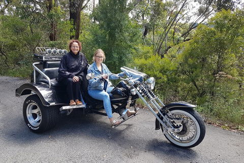 Blue Mountains 1-Hour Trike Tour Of Three Sisters - Kawana Tourism 1