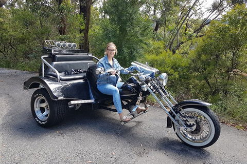Blue Mountains 1-Hour Trike Tour Of Three Sisters - Kawana Tourism 4