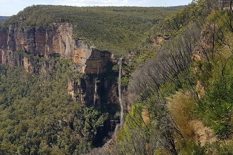 Blue Mountains 1-Hour Trike Tour Of Three Sisters - Kawana Tourism 5