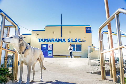 Smartphone & Camera Photography Basics - Kawana Tourism 5