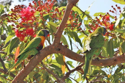 Sydney Harbour, Northern Beaches And National Park - Kawana Tourism 5