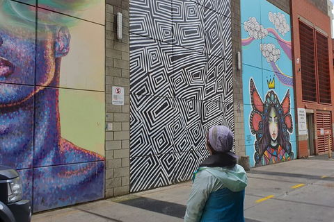 Jimmy C Street Art Walking Tour - Kawana Tourism 2