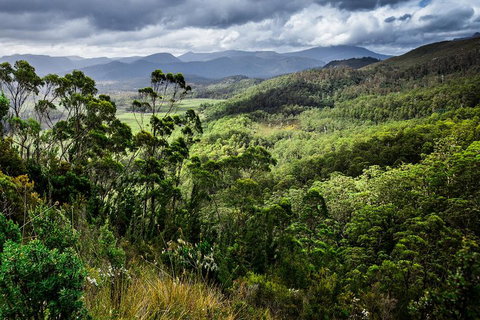 3-Day Tour To The Falls, Mountains, Lake & More Of West Coast Tasmania - Kawana Tourism 0
