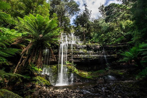 3-Day Tour To The Falls, Mountains, Lake & More Of West Coast Tasmania - Kawana Tourism 4