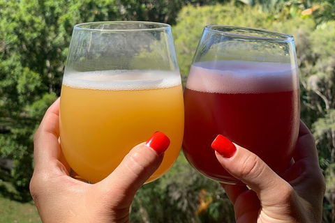 Hipster Sipster Brewery And Distillery Tour - Kawana Tourism 3
