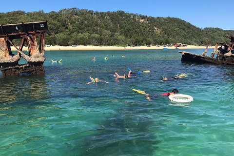 All Inclusive Dolphin And Tangalooma Wrecks Cruise - Kawana Tourism 0
