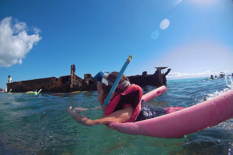 All Inclusive Dolphin And Tangalooma Wrecks Cruise - Kawana Tourism 2