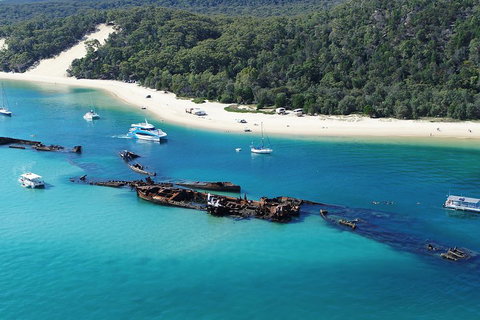 All Inclusive Dolphin And Tangalooma Wrecks Cruise - Kawana Tourism 4