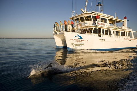 Jervis Bay Dolphin Watch Cruise - Kawana Tourism 3