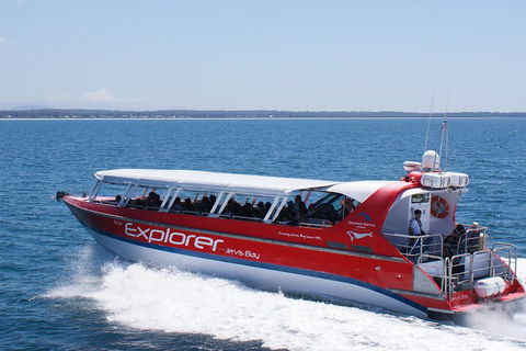 Whale Watching Jervis Bay - Kawana Tourism 1