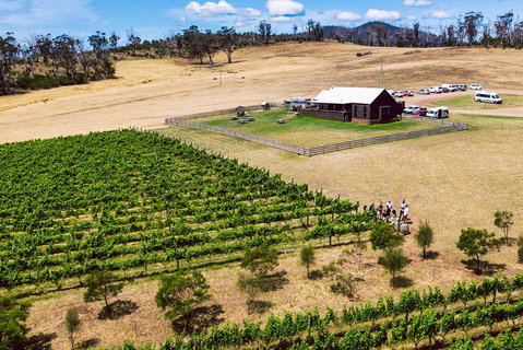 Tasmanian Wine Tour - Kawana Tourism 3