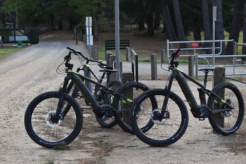 Fully Guided E-Mountain Bike Tour On The Beautiful Mornington Peninsula. - Kawana Tourism 2