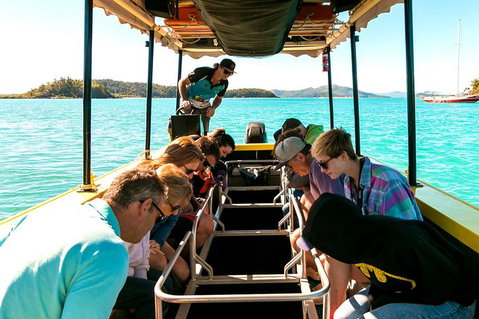Airlie Beach Glass Bottom Boat Tour - Kawana Tourism 1
