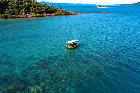Airlie Beach Glass Bottom Boat Tour - Kawana Tourism 4