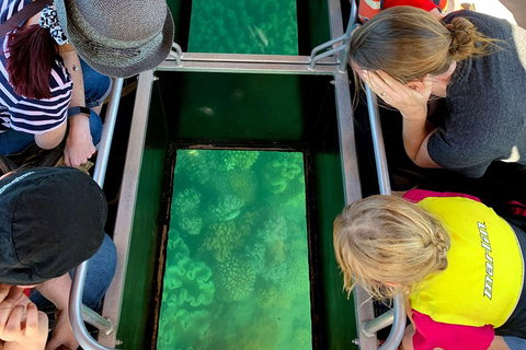 Airlie Beach Glass Bottom Boat Tour - Kawana Tourism 5
