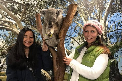 The Ultimate Sydney Attractions Pass - Kawana Tourism 1