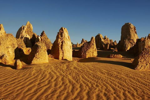 Full Day Pinnacle Desert Explorer From Perth Including Hillarys And Lancelin Sandboarding - Kawana Tourism 3
