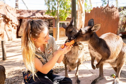 WILD LIFE Sydney Entrance Ticket - Kawana Tourism 5