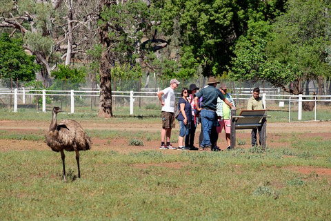 Yura Udnyu - Our Culture, Your Culture (Aboriginal Cultural Walk) - Kawana Tourism 1