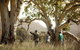 Yura Udnyu - Our Culture, Your Culture (Aboriginal Cultural Walk) - thumb 5