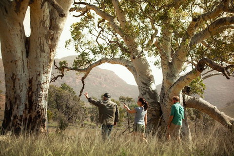 Yura Udnyu - Our Culture, Your Culture (Aboriginal Cultural Walk) - Kawana Tourism 5