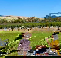 Private Picnic and Wine Tasting Experience in Barossa Valley - Kawana Tourism