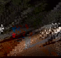 Alice Springs Desert Park Nocturnal Tour - Kawana Tourism