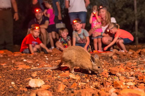 Alice Springs Desert Park Nocturnal Tour - Kawana Tourism 1