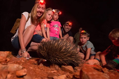 Alice Springs Desert Park Nocturnal Tour - Kawana Tourism 5