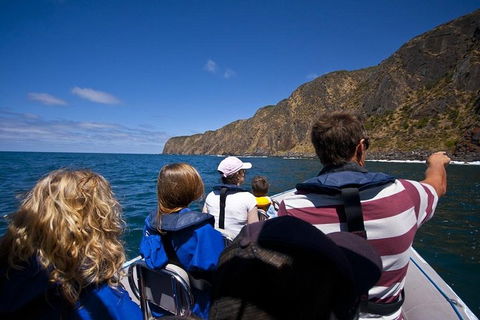 Seal Island Boat Tour From Victor Harbor - Kawana Tourism 0