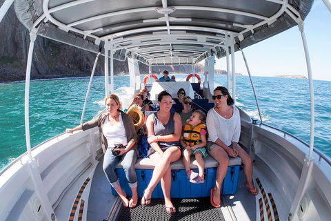 Seal Island Boat Tour From Victor Harbor - Kawana Tourism 1