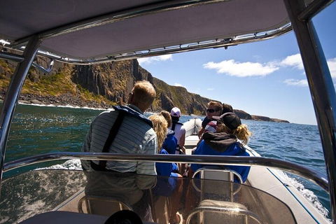 Seal Island Boat Tour From Victor Harbor - Kawana Tourism 2