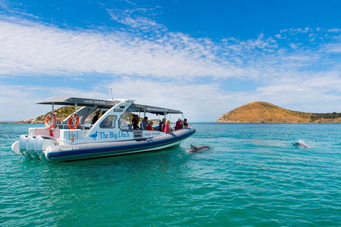 Southern Ocean Adventure From Victor Harbor - Kawana Tourism 1