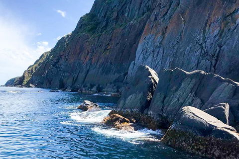 Southern Ocean Adventure From Victor Harbor - Kawana Tourism 3