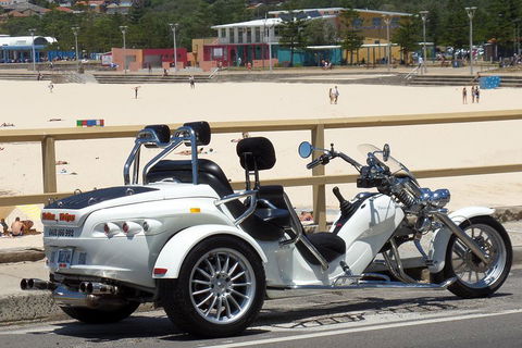 Sydney Six Beaches Trike Tour - Kawana Tourism 1